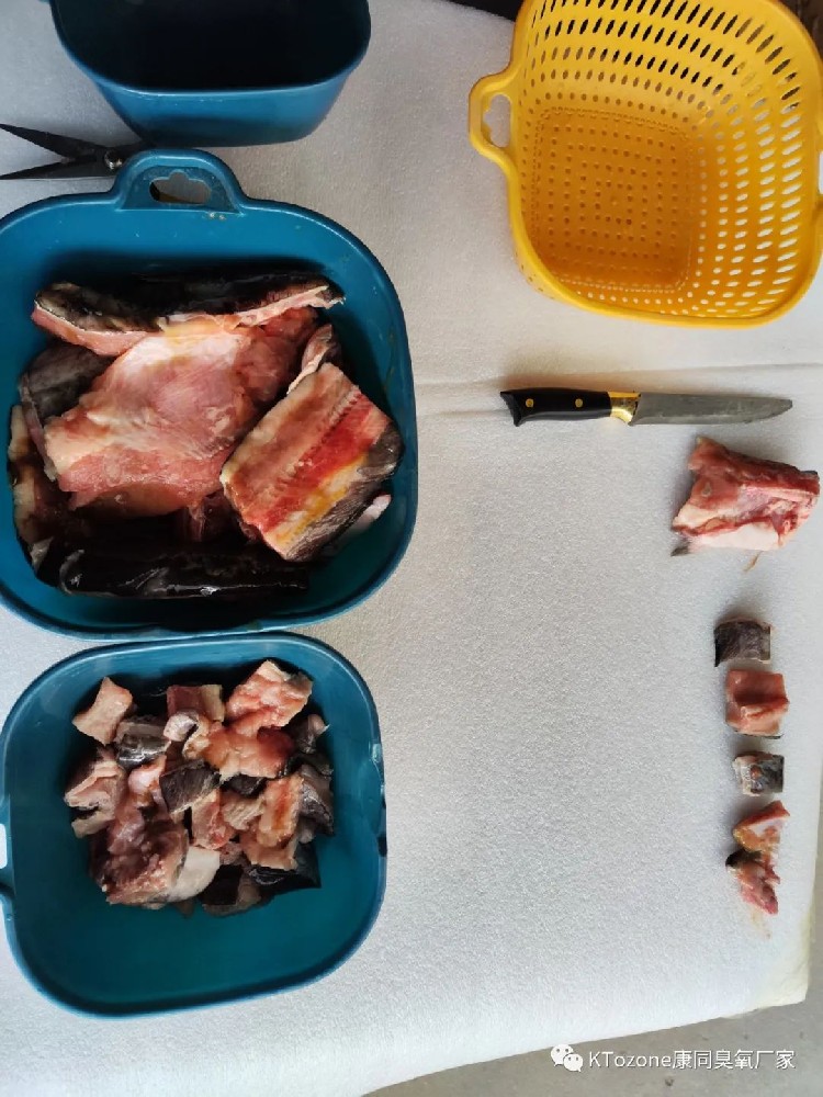 臭氧可以用于魚肉去腥去血水嗎？